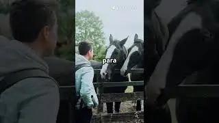 Descubra as Ra&ccedil;as de Cavalos Ideais para Cada Atividade!