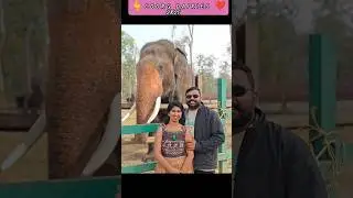 NEW YEAR🎊 2026#trending#viral#newyear2026#viralshorts#coorg#roadtrip#nature#animals#support#fyp#vibe