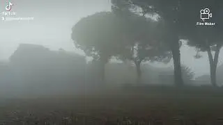 Nebbia sull'abbazia di Falerii Novi. #faleriinovi #cisterciense #medioevo #agrofalisco #church