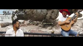 Pelea De Gallos - MARX EMMANUEL (homenaje a San Marcos)