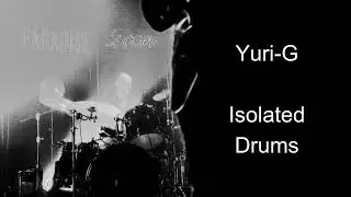 PJ Harvey Yuri G Isolated Drums