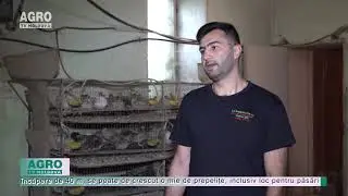 Sunt mici, dar aduc profit mare &ndash; AGRO TV News