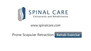 Prone Scapular Retraction Rehab Exercise