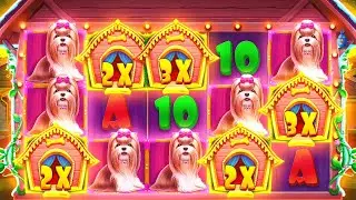 I Did $20 Spins On Dog House!? Insane Bonuses & Crazy Luck