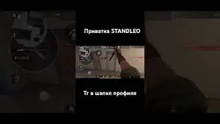 Highlight по афкашникам в STANDLEO#herstein #standleo #standoff2 #помойка2 #стандофф2 #52gajkadaman