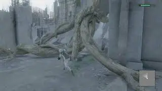 Search For Yonah In The Lost Shrine - NieR Replicant