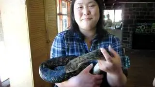 adult snake party