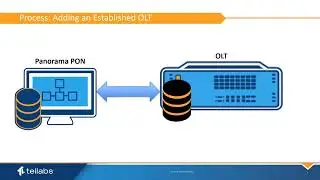 Adding an OLT into Panorama