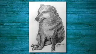 RIP Cheems | Tribute Sketch | Graphite Pencil ✏ Drawing Timelapse | Easy Tutorial For Beginners
