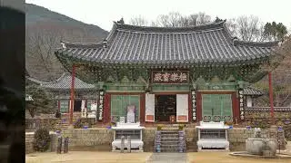 전남 구례 사진 찍기 좋은 곳 지리산 천은사