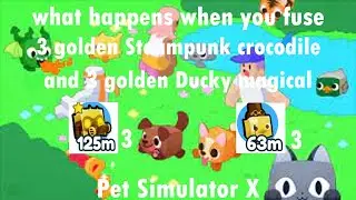 What happens when you fuse 3 golden Steampunk Crocodile and 3 golden Ducky magical | Pet Simulator X