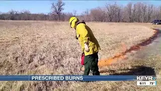 How prescribed burns help wildlife management areas