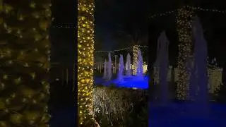 Riu Dubai Christmas time #riudubai #dubai #love #christmas #travel #family #funny