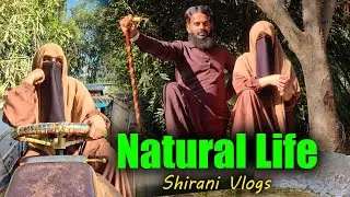 City vs Village: Where to Find True Neutral Life? Sunlight & Water Benefits 😡 | Shirani vlogs