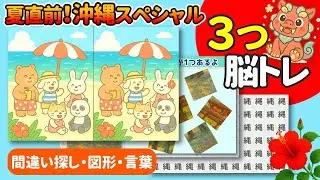 【3種類】脳の全体を刺激！間違い探し（沖縄のビーチ）・図形・言葉の脳トレ