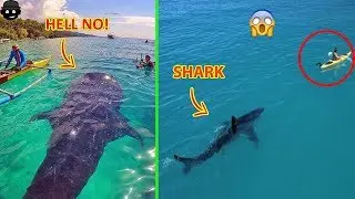 Photos That Will Make You Scream 
