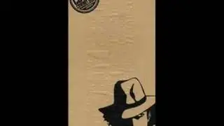 The Seatbelts - On the Run
