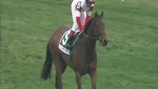 Bobby's Kitten Pilgrim S G3, 1700m, Belmont