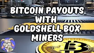 Now Goldshell Box Miners Can Pay You In Bitcoin!