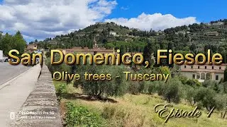 San Domenico fiesole.. Tuscany 