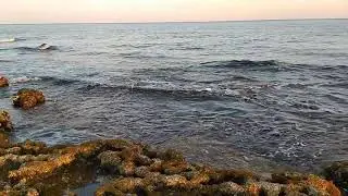Ayia Napa 2020