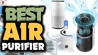 Best Air Purifiers 2023 for smoke and Healthy Home Reviews and Recommendations