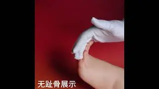 Female Silicone Foot Model Lifelike Feet Fetish Fake Nail Art Jewelry Display Props Salon TG3501