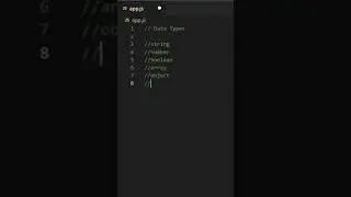 javascript Data Types