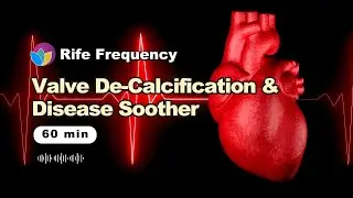 HEALTHY VALVES | Valve Decalcification & Disease Healing/Prevention: 140+20+6004Hz etc. Rife Freq