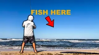 Surf Fishing Florida Beach with Sand Fleas & Fish Bites | Fish Every Cast