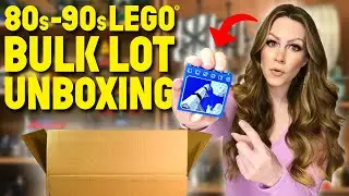 Распаковка 20-фунтовой партии LEGO® 80-х–90-х годов! (СУПЕР СЮРПРИЗНАЯ МИНИФИГУРКА!)