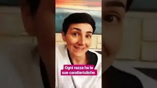 Cane lupo cecoslovacco spiegato da me!