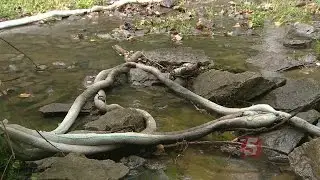 Environmental Group Plans To File Lawsuit Over West Nashville Tanker Truck Accident