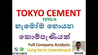 TOKYO CEMENT COMPANY (LANKA) PLC (TKYO.N) -  Company analysis  with data base / Long term
