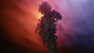 Coronamonster 02