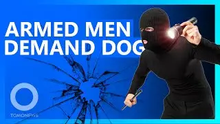 Armed Men Demand Dog in Bizarre Home Invasion
