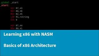 Изучение x86 с помощью NASM &mdash; основы архитектуры x86
