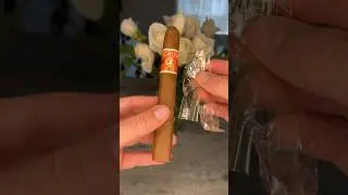ENJOYING THIS BEAUTIFUL CRUX CIGAR