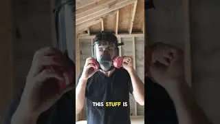 Full Home Mold Removal!