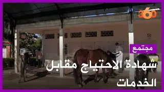 سبانا مراكش تفرض بطاقة 