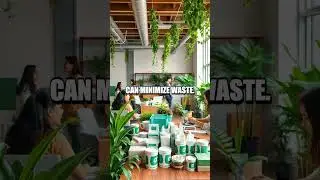 Eco-Friendly Office Supplies for Sustainable Productivity