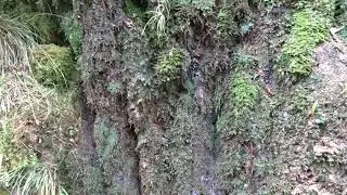 Val Terbi