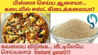Homemade Yeast for pizza/burger/bread|#Homemade Product-11|Tara's Tamil Care