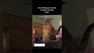 I hate stealth sometimes