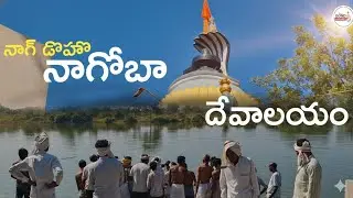 Nag Doho Nagoba Temple | Tribal Gond Culture | Have you seen how it is...? #telugu #viral #trend ...