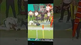 Tyreek Hill breaks his leg. Looks horrible  #Dolphins #Jets