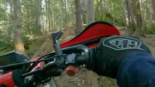 Grassy on the 1983 Honda XL250R