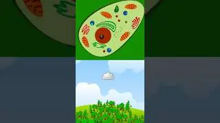 Atoms VS Universe Zoom IN/OUT Comparison #shorts