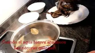 video necoras