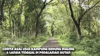 Perjalanan Membelah Hutan Jati Blora Selatan 